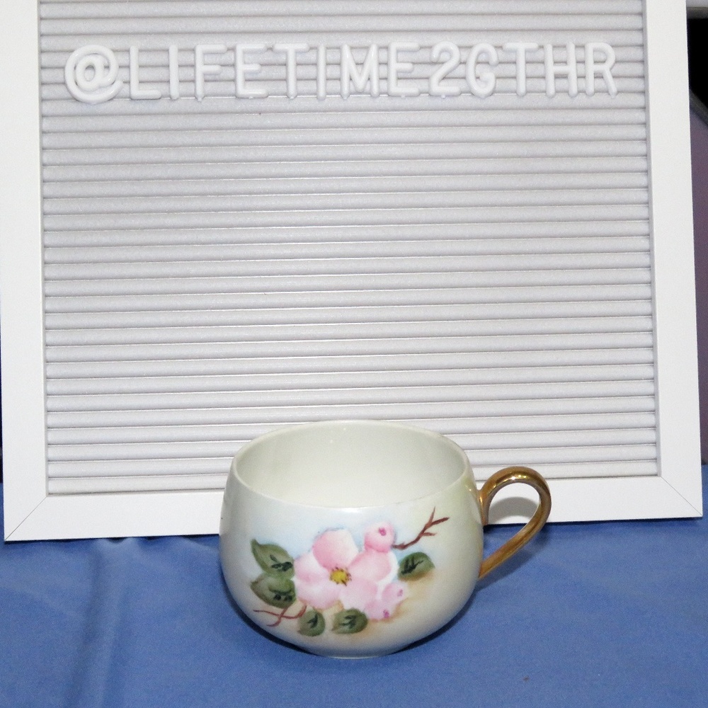 Bavaria Germany Hand Painted Coffee Cup